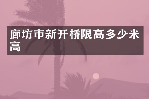 廊坊市新开桥限高多少米高