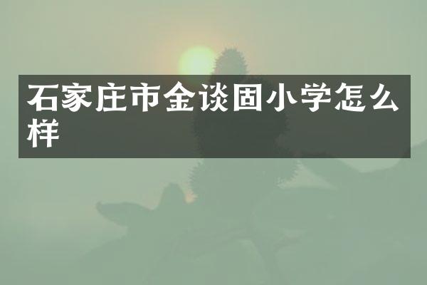 石家庄市金谈固小学怎么样