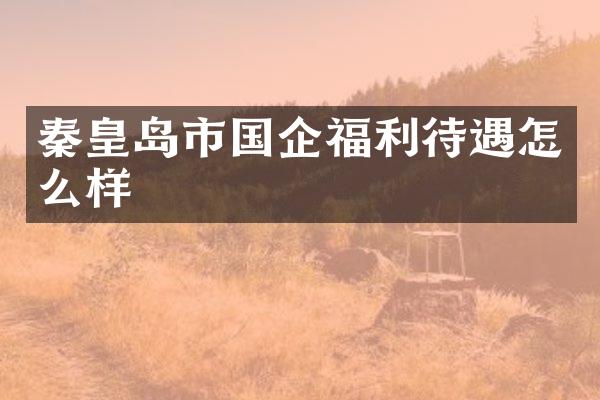 秦皇岛市国企福利待遇怎么样