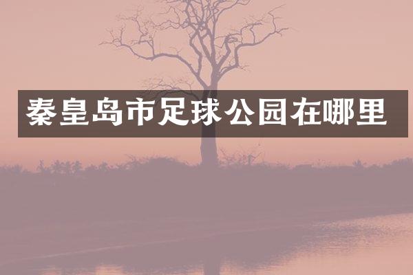 秦皇岛市足球公园在哪里