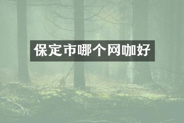 保定市哪个网咖好