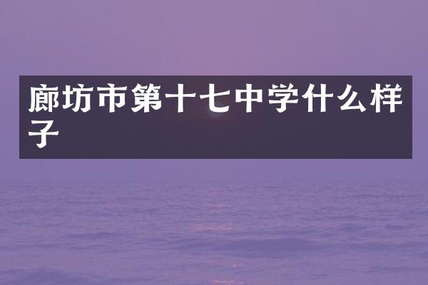 廊坊市第十七中学什么样子