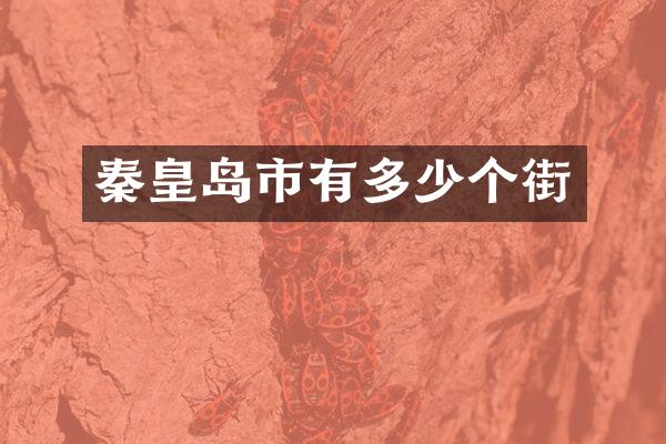 秦皇岛市有多少个街