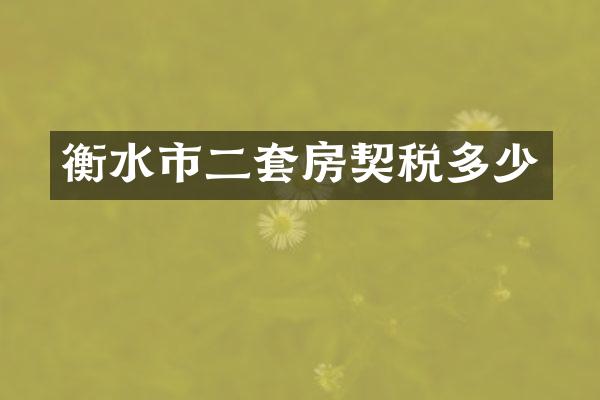衡水市二套房契税多少