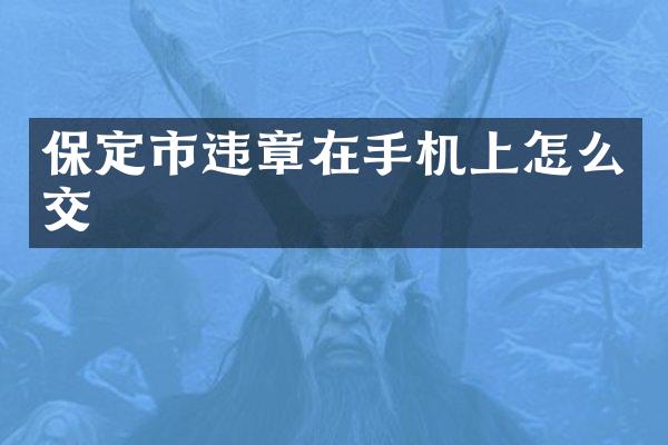 保定市违章在手机上怎么交