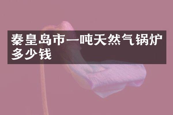 秦皇岛市一吨天然气锅炉多少钱