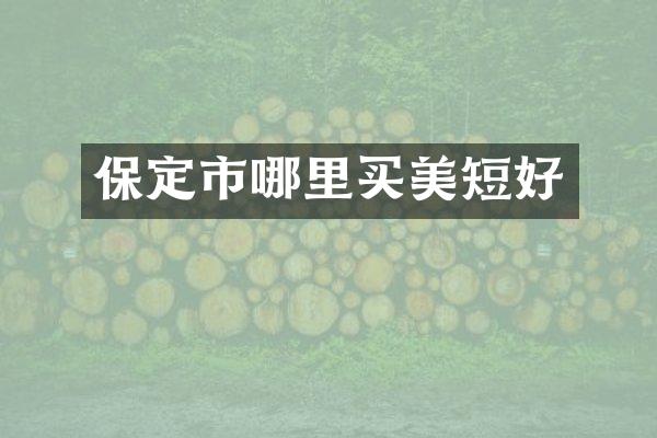 保定市哪里买美短好