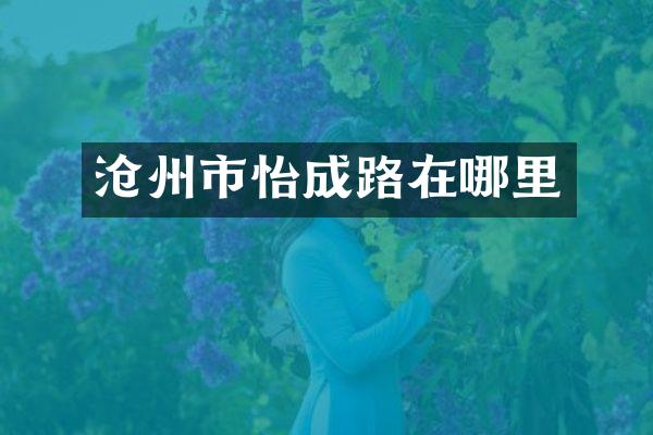 沧州市怡成路在哪里