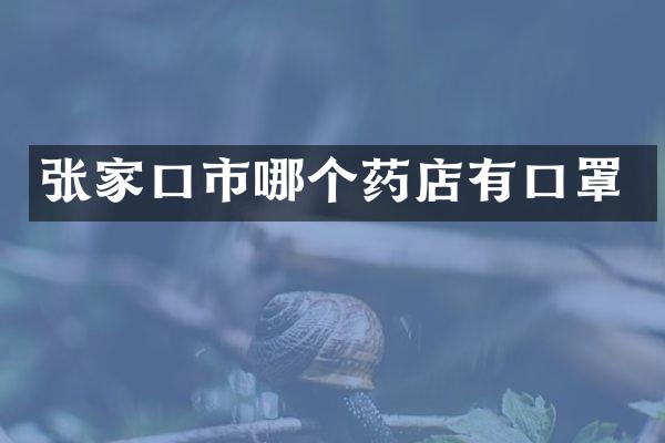 张家口市哪个药店有口罩