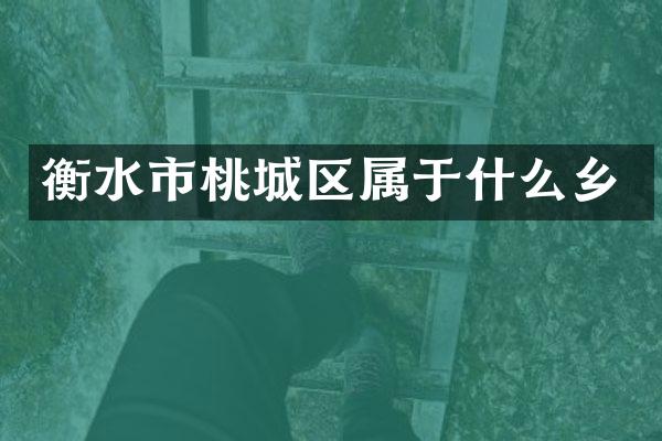 衡水市桃城区属于什么乡