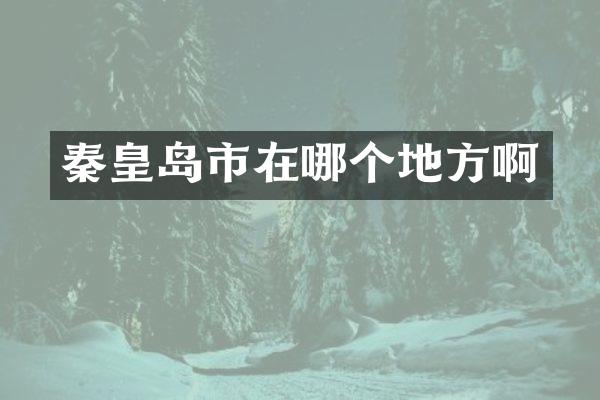 秦皇岛市在哪个地方啊