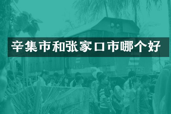 辛集市和张家口市哪个好