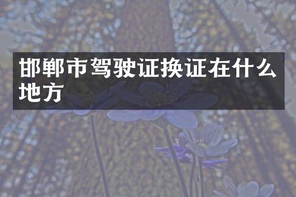 邯郸市驾驶证换证在什么地方