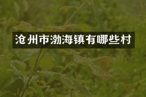 沧州市渤海镇有哪些村