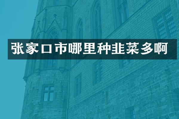 张家口市哪里种韭菜多啊
