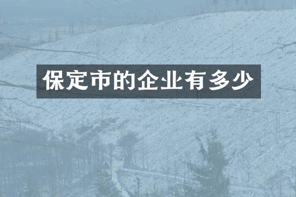 保定市的企业有多少