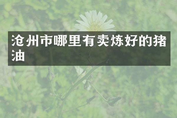 沧州市哪里有卖炼好的猪油