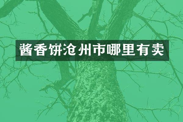 酱香饼沧州市哪里有卖