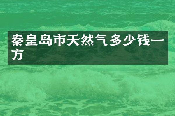 秦皇岛市天然气多少钱一方