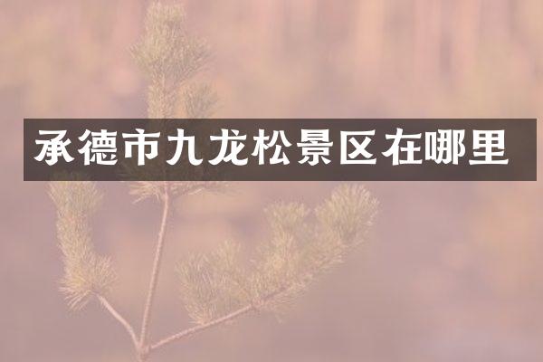 承德市九龙松景区在哪里