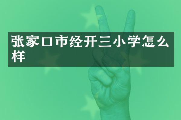 张家口市经开三小学怎么样