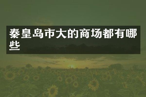 秦皇岛市大的商场都有哪些