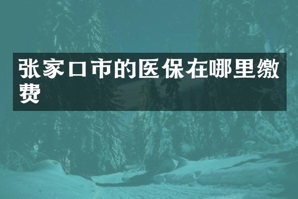 张家口市的医保在哪里缴费
