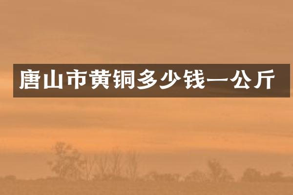 唐山市黄铜多少钱一公斤