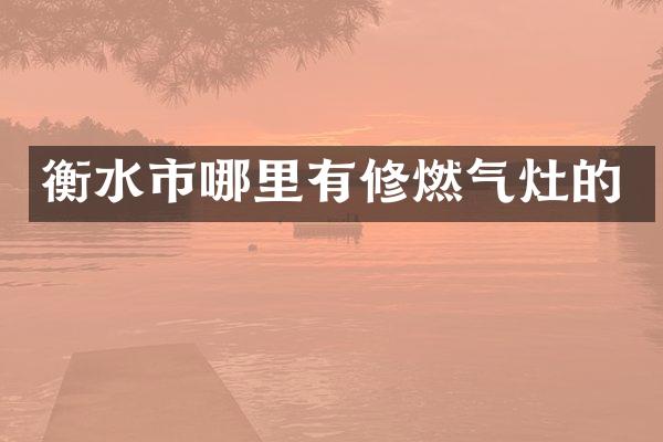 衡水市哪里有修燃气灶的