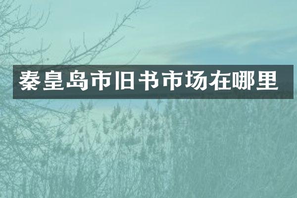 秦皇岛市旧书市场在哪里