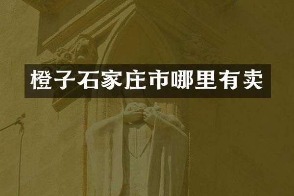 橙子石家庄市哪里有卖