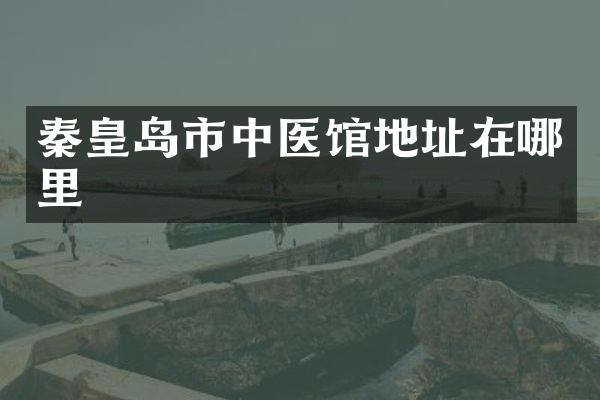 秦皇岛市中医馆地址在哪里