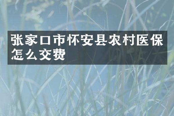 张家口市怀安县农村医保怎么交费