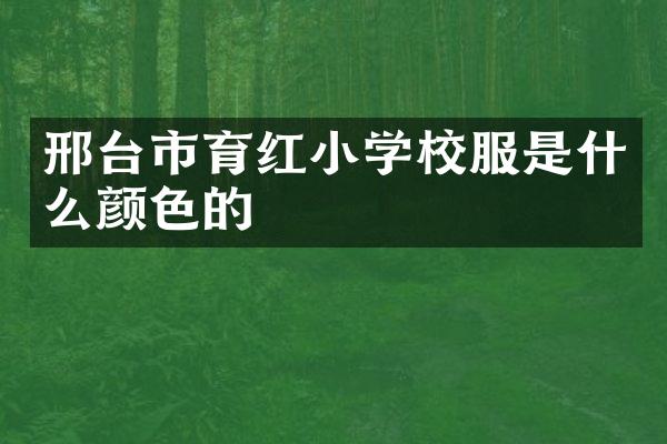 邢台市育红小学校服是什么颜色的