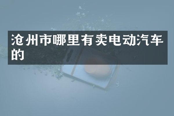 沧州市哪里有卖电动汽车的