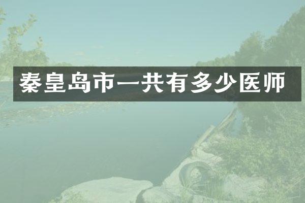 秦皇岛市一共有多少医师