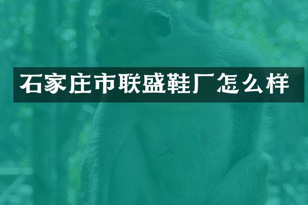石家庄市联盛鞋厂怎么样