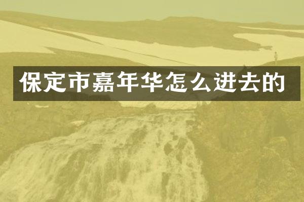 保定市嘉年华怎么进去的