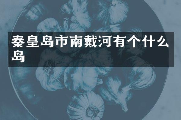 秦皇岛市南戴河有个什么岛