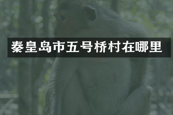 秦皇岛市五号桥村在哪里