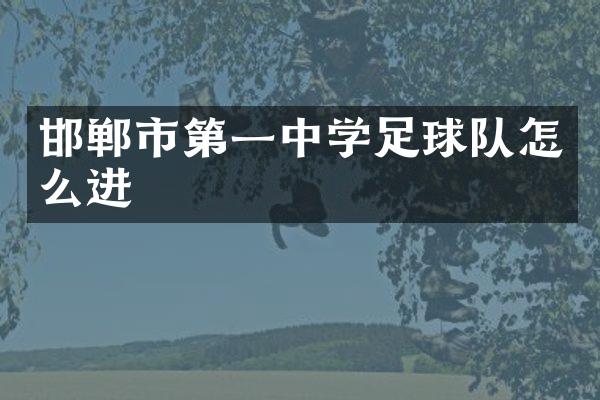 邯郸市第一中学足球队怎么进