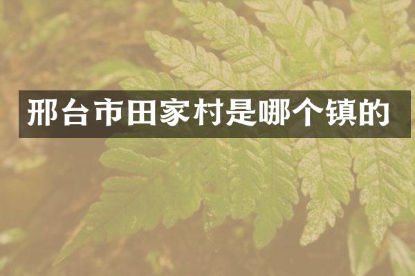 邢台市田家村是哪个镇的