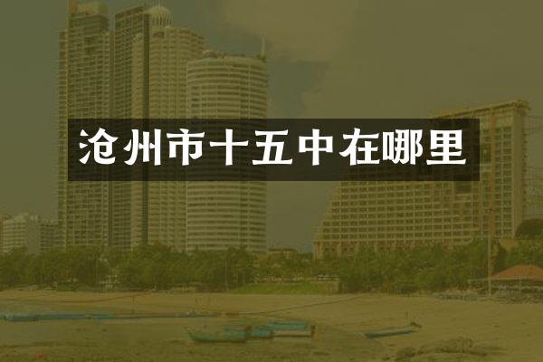 沧州市十五中在哪里