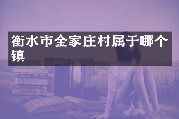 衡水市金家庄村属于哪个镇