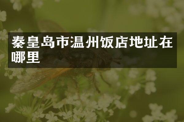 秦皇岛市温州饭店地址在哪里