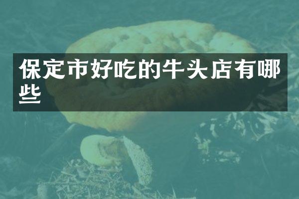 保定市好吃的牛头店有哪些
