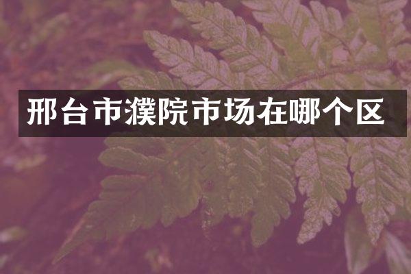 邢台市濮院市场在哪个区