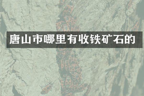 唐山市哪里有收铁矿石的