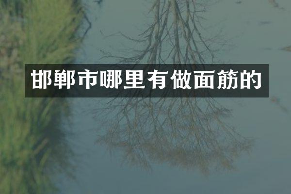 邯郸市哪里有做面筋的