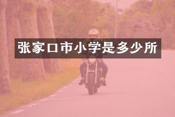 张家口市小学是多少所